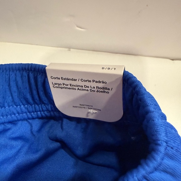 Nike Men’s Royal Blue Sports Shorts Size L NWT - Picture 3 of 9